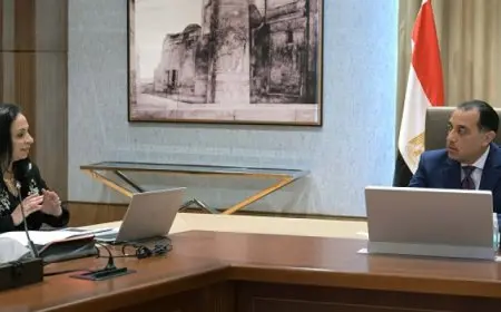 رئيس الوزراء يتابع ملف حصر رئيس الوزراء لأعداد اللاجئين والوافدين المقيمين في مصر