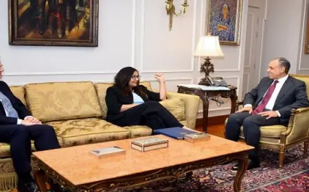 وزير الخارجية يستقبل المبعوث التجارى البريطانى الخاص لمصر