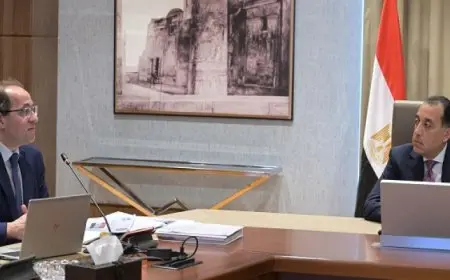 رئيس الوزراء يستعرض مع وزير المالية عددا من مؤشرات الأداء المالى