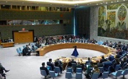 مجلس الأمن يدين احتجاز قوات الدعم السريع لعدد من قوات حفظ السلام واختطاف موظفين مدنيين