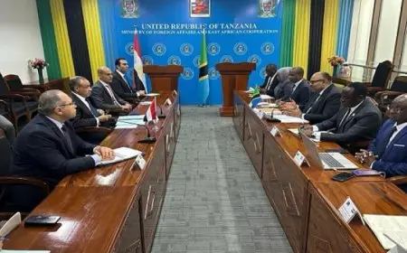 وزير الخارجية يبحث مع نظيره التنزانى زيادة الاستثمارات المصرية إلى السوق التنزانية