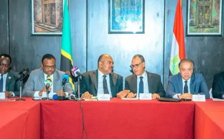 وزير الخارجية يؤكد على الاهتمام الذى توليه مصر لتعزيز التعاون الاقتصادى والتجارى مع الدول الأفريقية