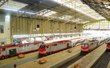 السكة الحديد: تشغيل عدد من القطارات الاضافية خلال الفترة من ٢٥ / ٣ وحتى ١١ / ٤ / ٢٠٢٥ بمناسبة عيد الفطر