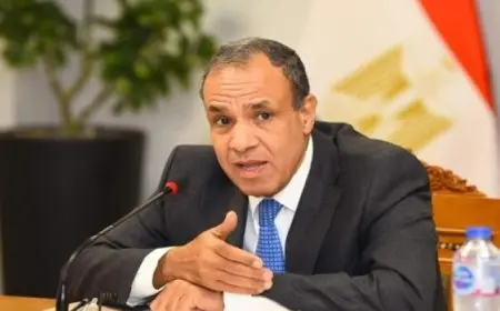 وزير الخارجية والهجرة يتوجه إلى تنزانيا فى زيارة ثنائية