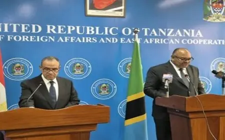 جلسة مباحثات لوزير الخارجية والهجرة مع نظيره التنزانى