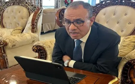 وزير الخارجية يشارك افتراضيا فى الاجتماع الوزارى لمجلس السلم والأمن الإفريقى