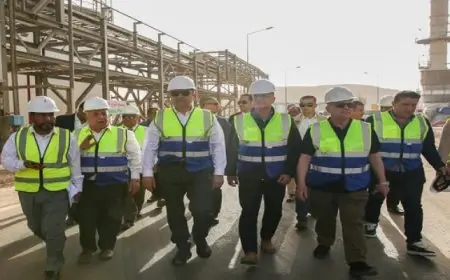 وزير قطاع الأعمال: “كيما” أسوان صرح صناعي عملاق نحرص على تنميته قدراته