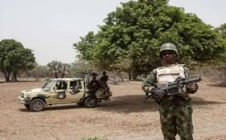 الجيش بالنيجر يعلن مقتل نحو خمسين عنصرا إرهابيا شرقى البلاد