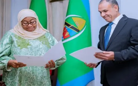 رسالة خطية من الرئيس السيسى إلى رئيسة تنزانيا يسلمها وزير الخارجية