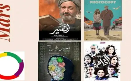 عرض 4 أفلام مصرية مترجمة إلى الفرنسية ببلجيكا ولوكسمبورج