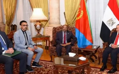 وزير الخارجية والهجرة يستقبل نظيره الإريترى