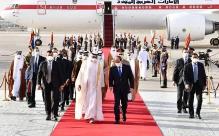 الرئيس السيسى يستقبل الشيخ محمد بن زايد آل نهيان رئيس دولة الإمارات العربية المتحدة