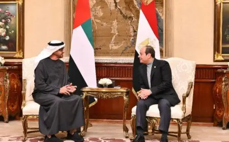 الرئيس السيسى: سعدت باستقبال أخى الشيخ محمد بن زايد فى بلده الثانى مصر