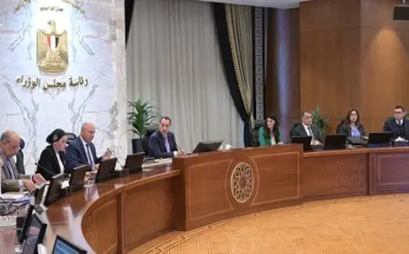 رئيس الوزراء يوافق على إقامة مشروع صناعي جديد ببرج العرب