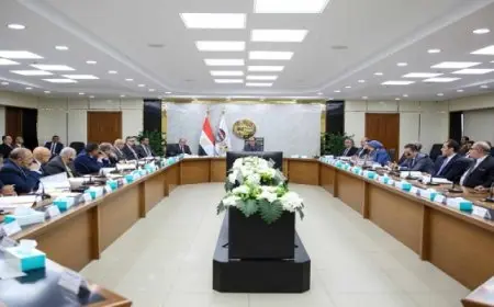 “قطاع الأعمال”: نمو أرباح “القابضة للتشييد” وشركاتها التابعة إلى 1.8 مليار جنيه