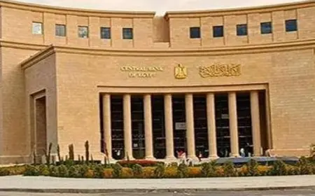 البنك المركزى المصرى يطرح أذون خزانة بقيمة 105 مليارات جنيه