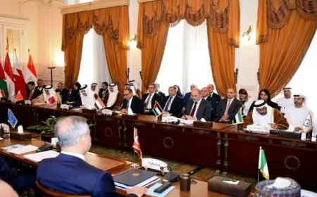 مصر تستضيف اجتماعاً للجنة الوزارية العربية الإسلامية المعنية بغزة مع ممثلة الاتحاد الأوروبى