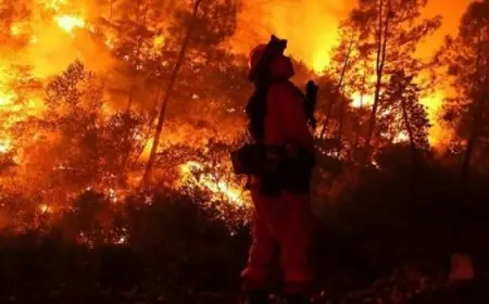 إجلاء الآلاف وإعلان الطوارئ بسبب حرائق الغابات بولايتى كارولينا الشمالية والجنوبية