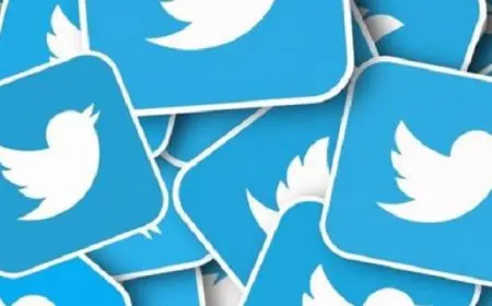 وداعا للطائر الأزرق.. شعار “تويتر” الشهير فى مزاد علنى