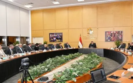 وزير الإسكان يعقد اجتماعًا مع رؤساء ونواب مجالس إدارات الشركات المنفذة لـ “حدائق تلال الفسطاط”