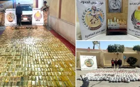 قوات حرس الحدود تحبط محاولات تهريب على مختلف الاتجاهات الاستراتيجية للدولة