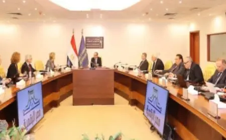 وزير الاتصالات يبحث ورئيسة بعثة الاتحاد الأوروبي التعاون في مجالات التحول الرقمي