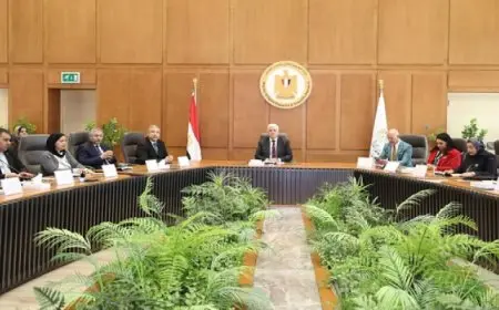 وزير التعليم العالى يفتتح الورشة التحضيرية ” تقييم نضج الابتكار المؤسسى”