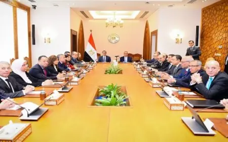 وزيرا الخارجية والاستثمار يعقدان اجتماعا تنسيقيا لدعم الاقتصاد الوطنى