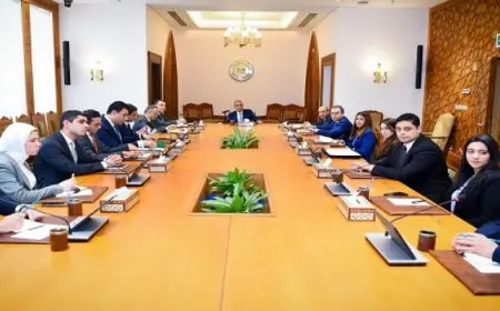 وزير الخارجية: تحقيق أمن المنطقة العربية يعد أحد المحددات الرئيسية لأمن مصر القومى