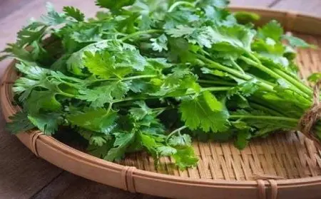 فوائد لا تتوقعها للبقدونس اضفه إلى طعامك