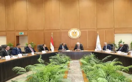وزير التعليم العالى يترأس اجتماع مجلس أمناء جامعة جنوب الوادى الأهلية