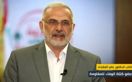 نائب حزب الله فى البرلمان: الحزب لن يسلم سلاحه للجيش اللبنانى