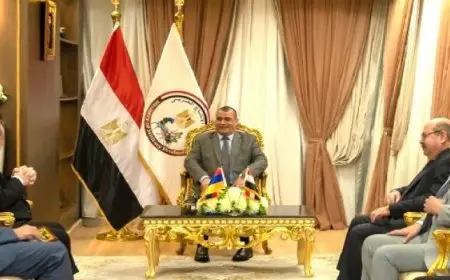 وزير الإنتاج الحربى يستقبل السفير الأرمينى لبحث أوجه التعاون فى مجالات التصنيع