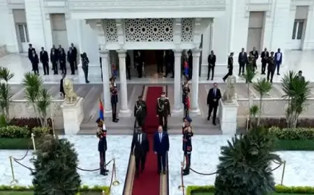 الرئيس السيسى يستقبل رئيس جمهورية سيراليون بقصر الاتحادية