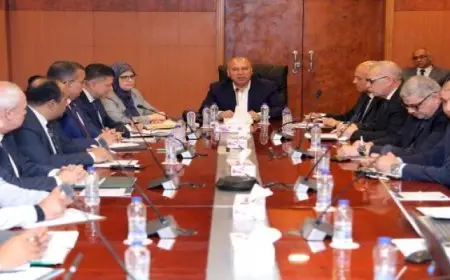 وزير الصناعة والنقل يتابع تقدم أعمال الترفيق بتوسعات 5 مناطق صناعية