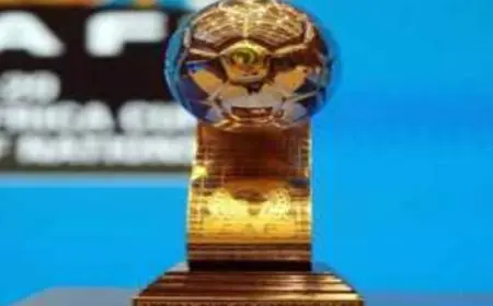 مصر توافق رسمياً على استضافة كأس أمم إفريقيا تحت 20 عامًا