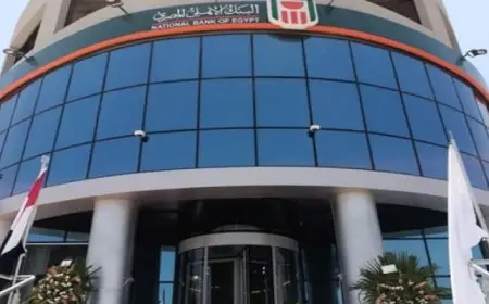 البنك الأهلي المصرى يحقق أكثر من 12 مليون معاملة يوميًا لماكينات الصراف الآلى ومشتريات البطاقات