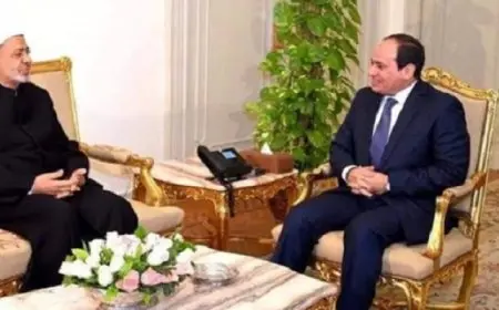 الرئيس السيسى يجرى اتصالًا هاتفيًّا بشيخ الأزهر للاطمئنان على صحته