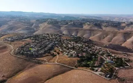 هيئة فلسطينية: الاحتلال يُسرع عملية مصادرة الأراضى وشرعنة البؤر الاستيطانية الجديدة