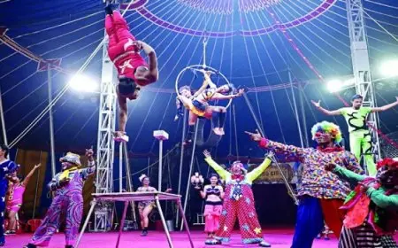السيرك القومى يفتح غدا أبوابه للجمهور فى أول أيام عيد الفطر المبارك