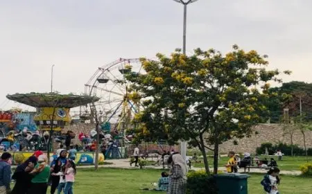 الزراعة: جاهزية كافة الحدائق والمنتزهات لاستقبال الزائرين خلال عيد الفطر المبارك