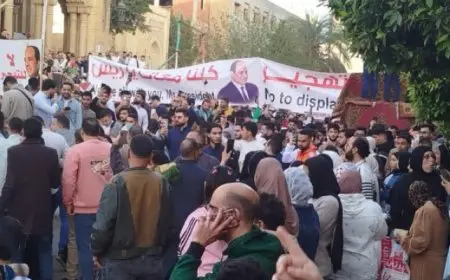 تحالف الأحزاب المصرية: التلاحم الشعبى الرافض للتهجير يعكس حجم الثقة فى القيادة السياسية