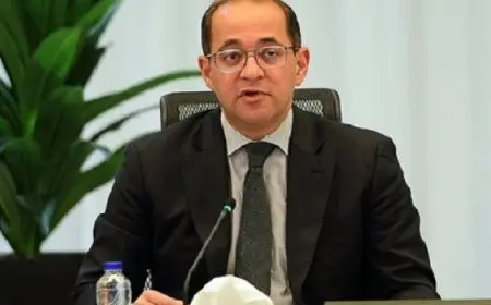 وزير المالية: زيادة أجور العاملين بالدولة من أول يوليو المقبل