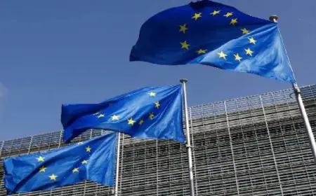 الاتحاد الأوروبى “مستعد للتعاون”مع الحكومة السورية الجديدة