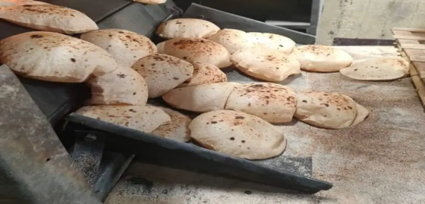 شعبة المخابز: انتظام العمل لإنتاج الخبز المدعم خلال أيام عيد الفطر