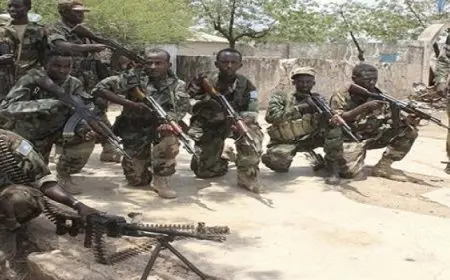 الصومال: مقتل 7 عناصر إرهابية في إقليم شبيلى الوسطى