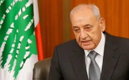 رئيس النواب اللبنانى: الغارة الإسرائيلية على الضاحية عدوان موصوف ومحاولة لاغتيال القرار الأممى