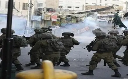 فلسطين: إصابات بالرصاص وإحراق مزرعتين و3 مركبات فى هجوم للمستوطنين على جنوب نابلس