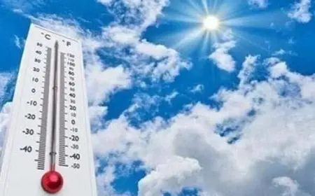 الأرصاد: غدا طقس مائل للحرارة نهارا مائل للبرودة ليلا والعظمى بالقاهرة 28