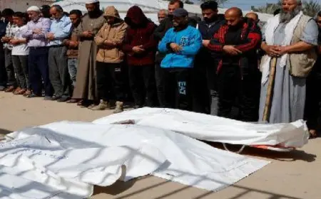 ارتفاع حصيلة الشهداء فى غزة إلى 50,523 والإصابات إلى 114,776 منذ بدء العدوان